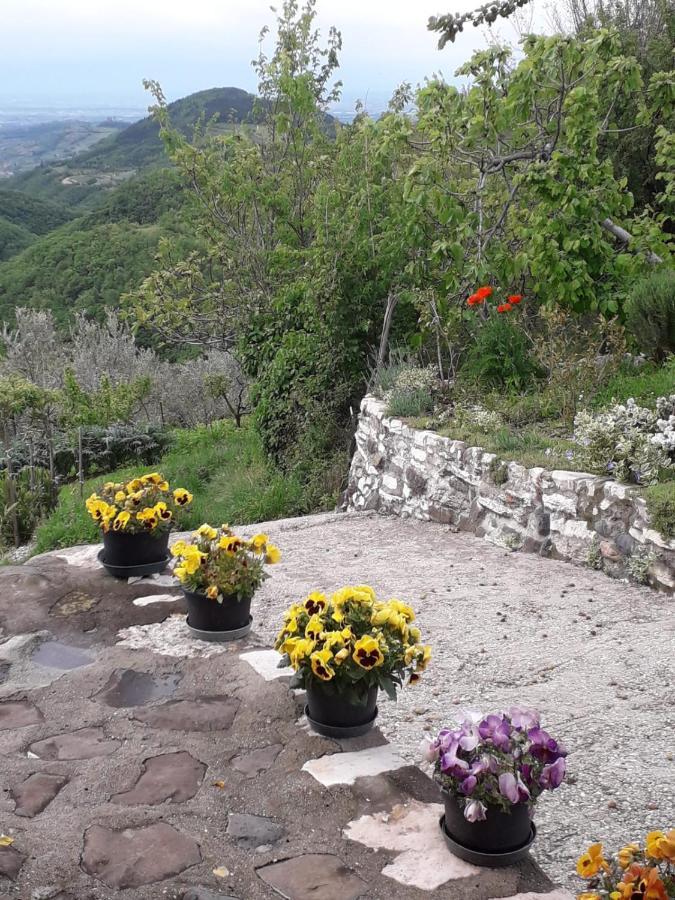 Casa Finetti Daire Tregnago Dış mekan fotoğraf